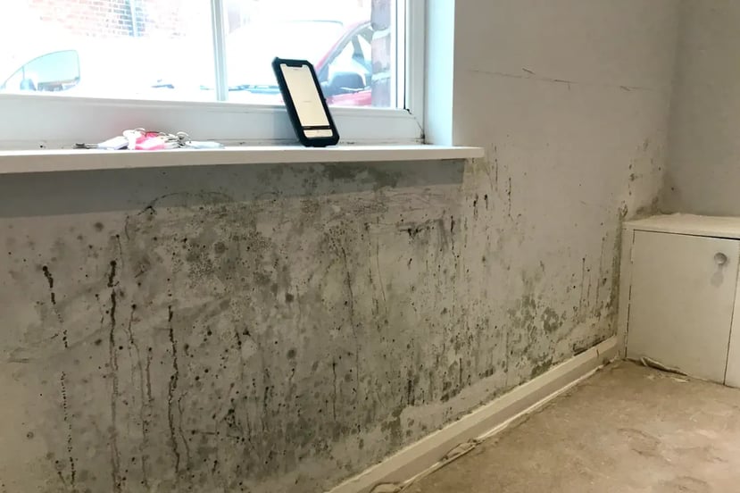 Damp, Mould and Condensation