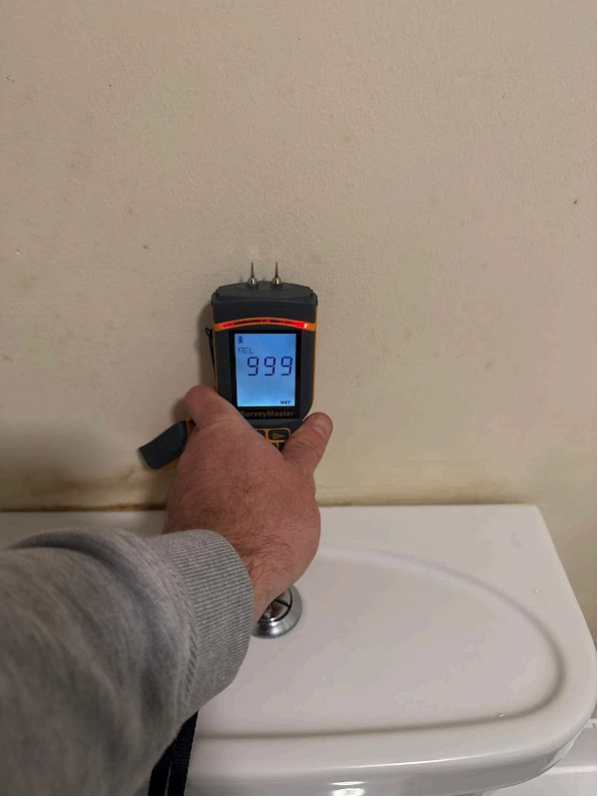 Surveyor using a moisture meter to assess damp before recommending damp proofing solutions.