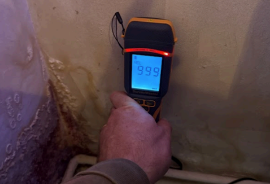 Professional mould survey device scanning a wall surface to detect hidden moisture and mould contamination during property inspection.
